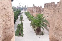 Agadir: Taroudant & Tiout guided Day Trip with Lunch & Pickup