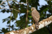 Birdwatching at Mundo Aventura Natural Park