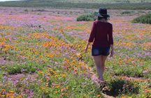 West Coast Wonders Full Day Tour with Private Transfer