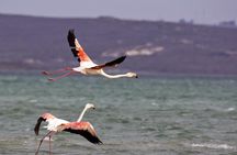 West Coast Wonders Full Day Tour with Private Transfer