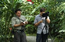 Nature Walk at Ecological Park and Butterfly Garden Danaus