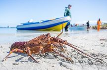 West Coast Wonders Full Day Tour with Private Transfer