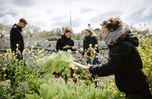 Cooking class: We prepare orecchiette with vegetables from the garden