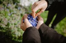 Cooking class: We prepare orecchiette with vegetables from the garden
