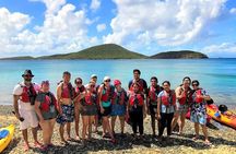 Culebra Island Snorkel and Turtle Adventure with Ferry Transport