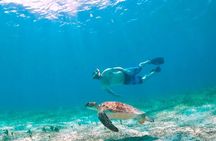 Culebra Island Snorkel and Turtle Adventure with Ferry Transport