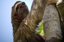 Manuel Antonio Park Nature Guided Tour