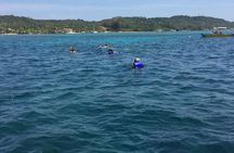 Shore Excursion Roatan Wildlife Eco-Park and Two Stop Snorkel