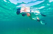 Catamaran to Mujeres Island with Open Bar on Board from Cancun