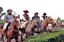 Promo Buenos Aires: City Tour & Gaucho Experience