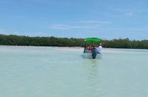 Celestun Biosphere Reserve Tour from Merida