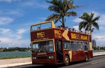Go City: Miami Explorer Pass