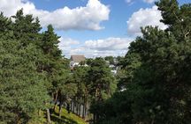 Porvoo tour from Helsinki or Vantaa