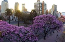 Cordoba City Tour with Optional Jesuitic Square