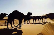 3 days 2 nights desert trip Fes to Marrakech