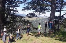 Jeep tour in National park Durmitor