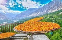 08 Days Autumn Trip to North Pakistan (08D 07N)