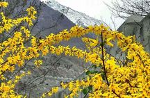 08 Days Autumn Trip to North Pakistan (08D 07N)