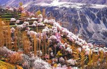Cherry Blossoms Trip to Northern Areas of Pakistan 2020 (8D 7N)