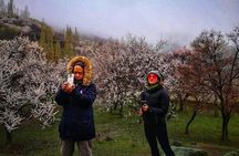 Cherry Blossoms Trip to Northern Areas of Pakistan 2020 (8D 7N)
