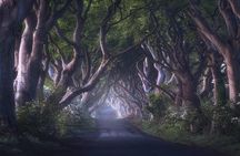 Giants Causeway & Game of Thrones Tour from Belfast