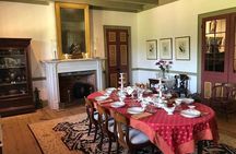 Oak Alley or Laura Plantation Tour from New Orleans