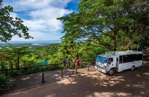 Daintree Rainforest and Cape Tribulation Day Tour from Cairns