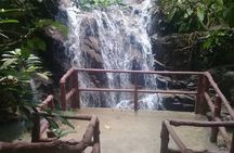 Rainforest-Cascading Waterfall, Batu Cave,Hotspring(Private Tour)