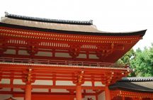 Nara Private Tour by Public Transportation from Osaka