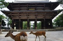 Nara Private Tour by Public Transportation from Osaka