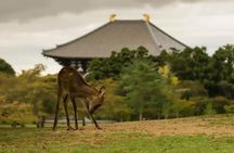 Nara Private Tour by Public Transportation from Osaka