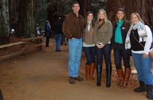 Muir Woods Forest Morning and Afternoon Private Tours