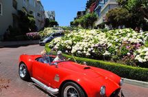 Muir Woods Forest Morning and Afternoon Private Tours