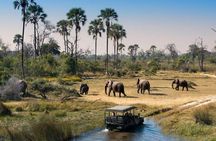 Victoria Falls, Chobe and Okavango Delta 7 nights trip