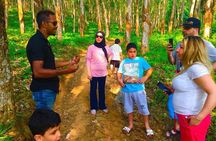 Village Life Tour from Kandy 