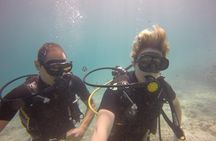 Exploration dives