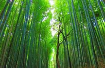 Full Day Kyoto Chartered Taxi Tour