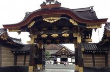 Private Nijo Castle Sightseeing and Nishiki Food Tour