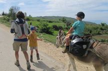 DONKEY TRIP BY 1001 Albanian Adventures