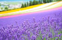 Hokkaido Furano Lavender Farm and Blue Pond Day Trip from Sapporo
