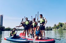 Seville: Paddle Surf on an XXL Board