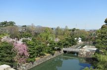 Private Nijo Castle Sightseeing and Nishiki Food Tour