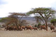 2-Day Taita Hills Safari - From Mombasa