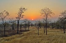 Panna Tiger Reserve Tour from Khajuraho