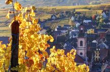 Alsace villages half day tour from Colmar