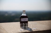 Bratislava Brunch Tour