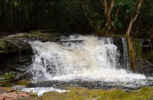 Tour to Presidente Figueiredo: Amazon Waterfalls