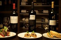 Wine Tasting and Tapas with Expert Sommelier in Buenos Aires