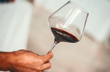 Medoc Region Wine Day Trip with Vineyard Visits & Tastings from Bordeaux