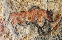 Lascaux IV Visit - Half Day Tour from Sarlat